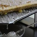 ホテル ホテルエクゼクティブ