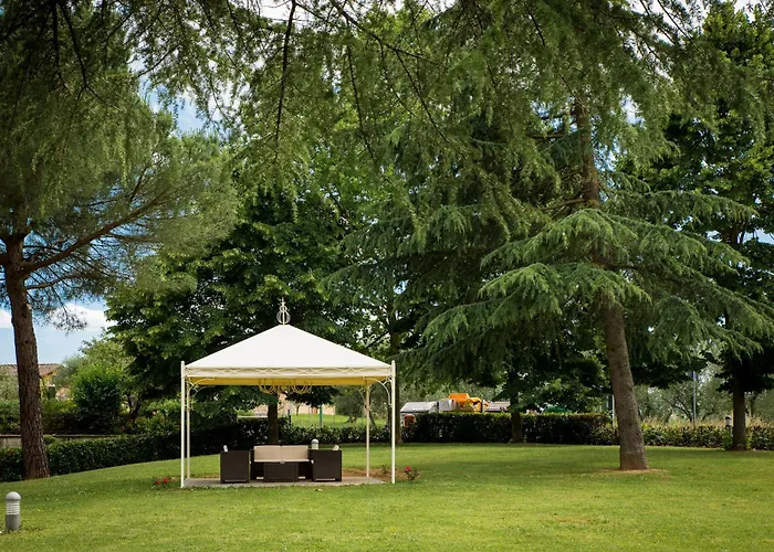 Отель Executive