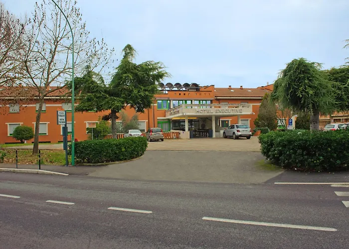 Executive Сиена