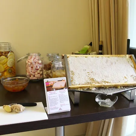 Executive Hotel Siena