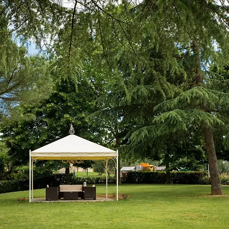 Готель Executive